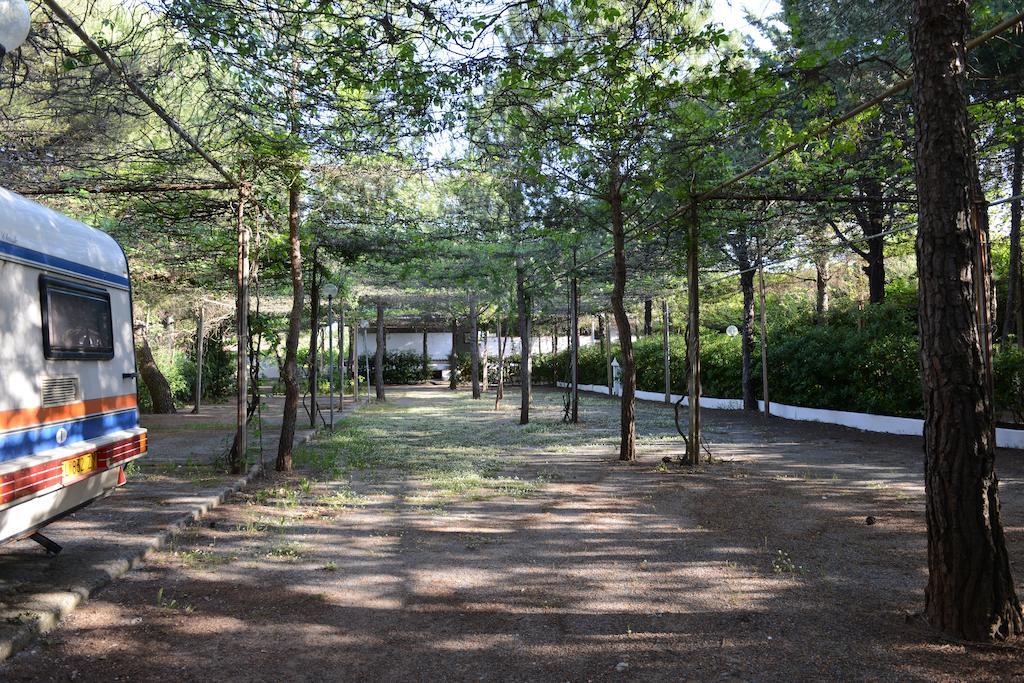 Villaggio La Pantera Rosa 斯卡莱阿 外观 照片